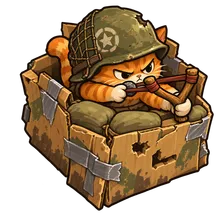 Box Cat